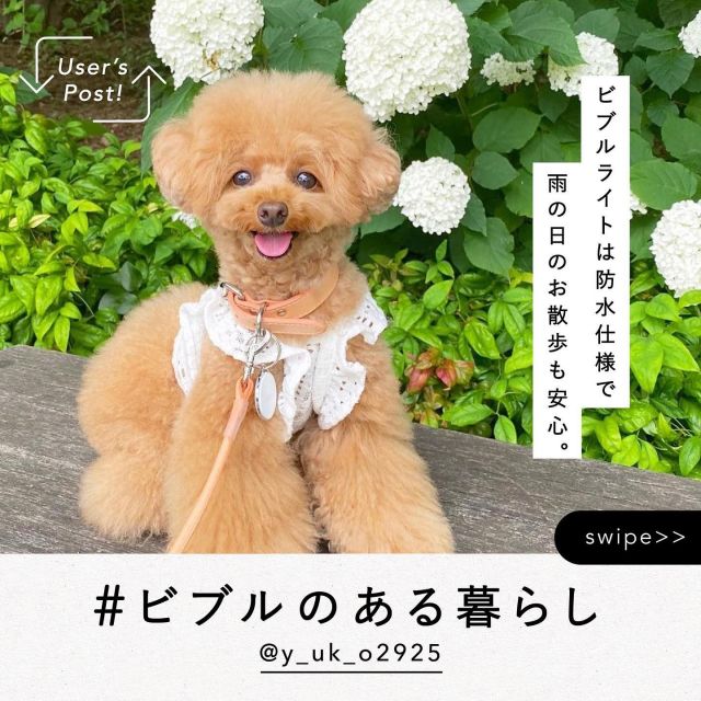 Biblle ビブル なくしもの防止 見守りサービス